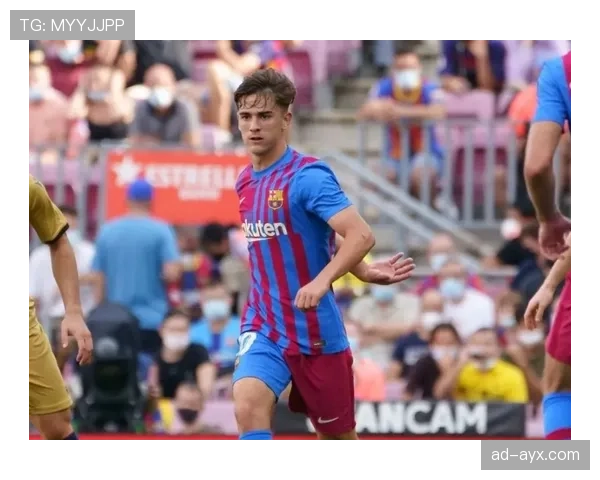 罗贝托右路多功能